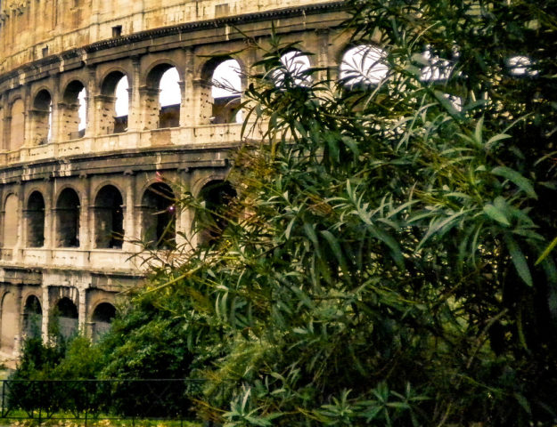 Coliseo de Roma, capital de Italia.