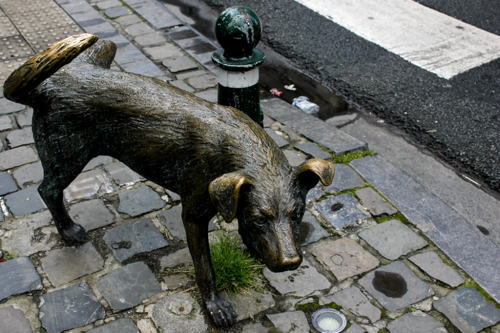 Zinneke Pis, el perro que mea, Bruselas, Bélgica.