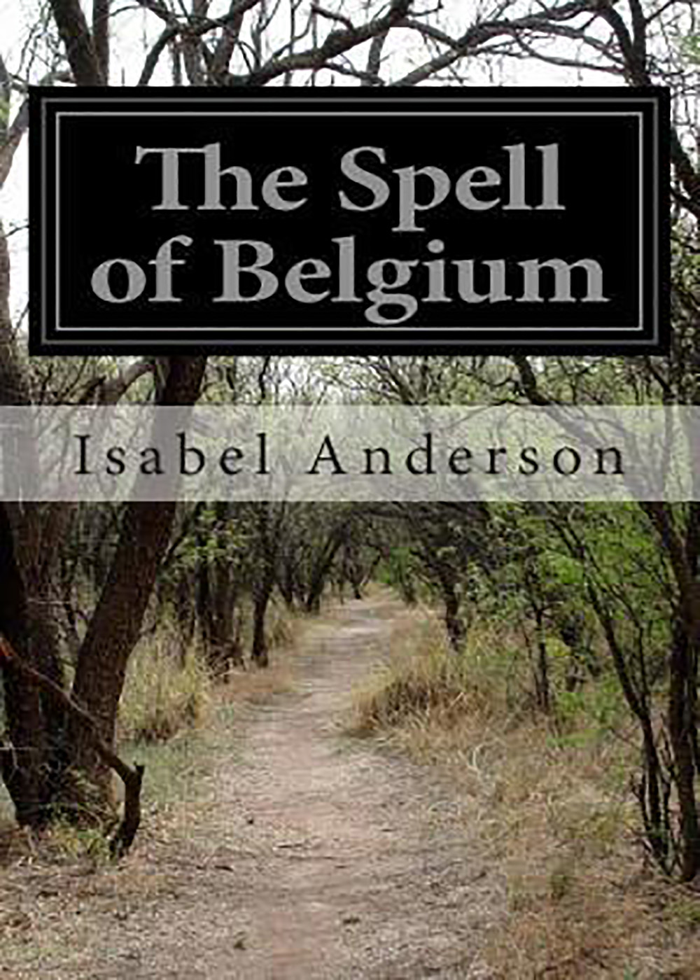 Isabel Anderson - The Spell of Belgium