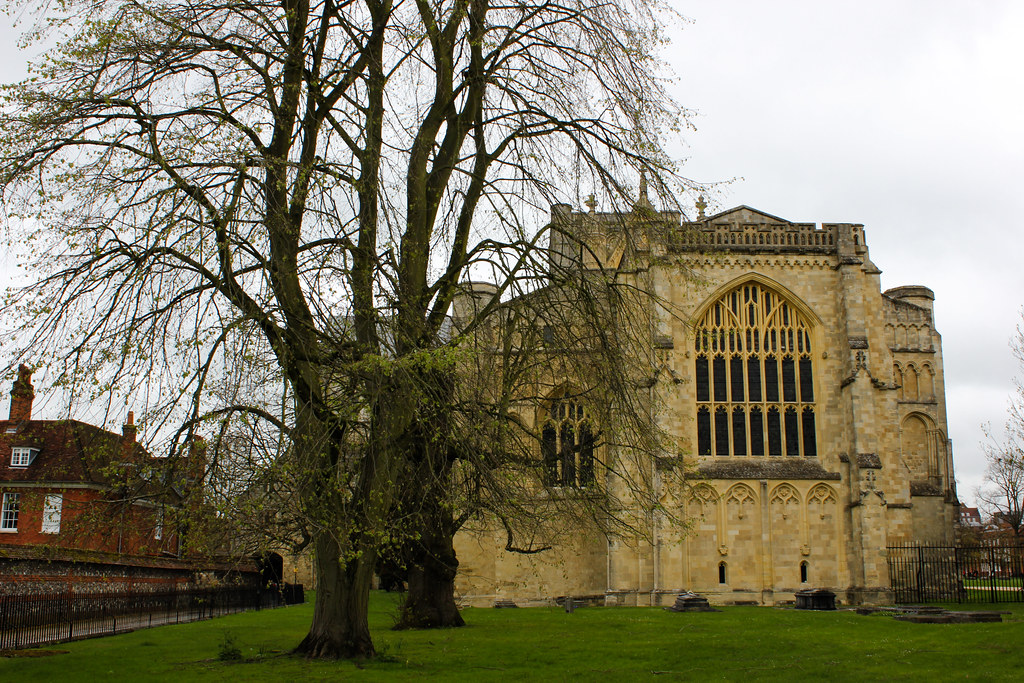 Árbol desnudo en primer plano con la Catedral de Winchester al fondo.