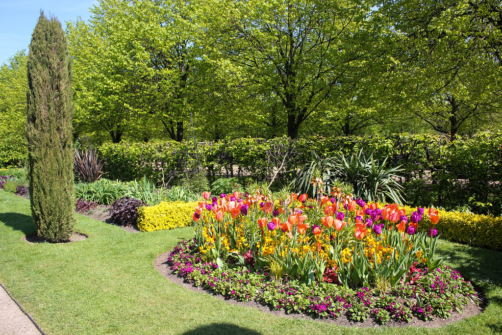 Vibrante arreglo de tulipanes multicolores y plantas perennes en un jardín inglés con árboles frondosos.