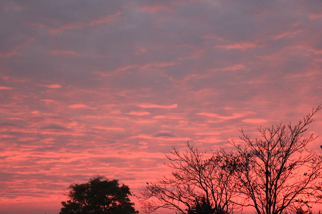 Cielo al atardecer con tonos rosados y silueta de árboles.