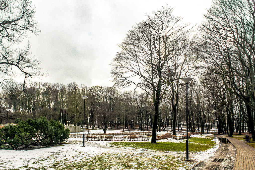 Parque del antiguo Cementerio de Kalamaja en Tallin con rastros de nieve y árboles desnudos.
