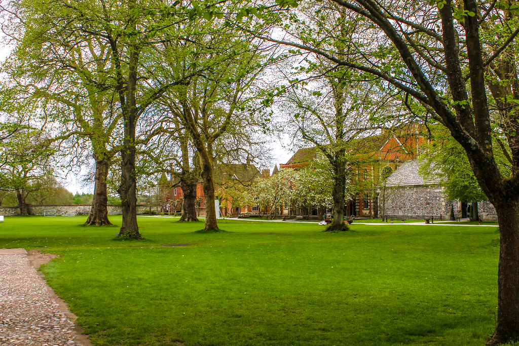 Verde césped de Winchester College con árboles frondosos y edificios antiguos al fondo.