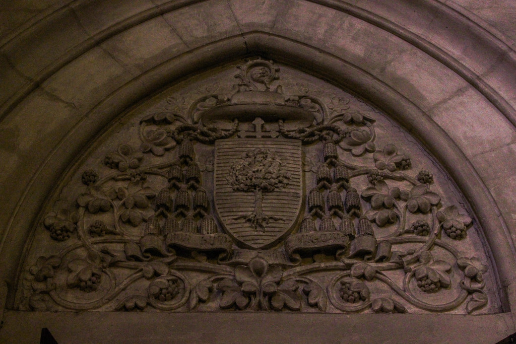 Escudo tallado en piedra con elementos florales en la catedral de Montpellier.