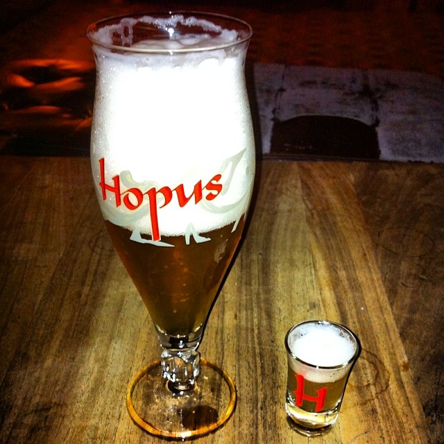 Cerveza Hopus.