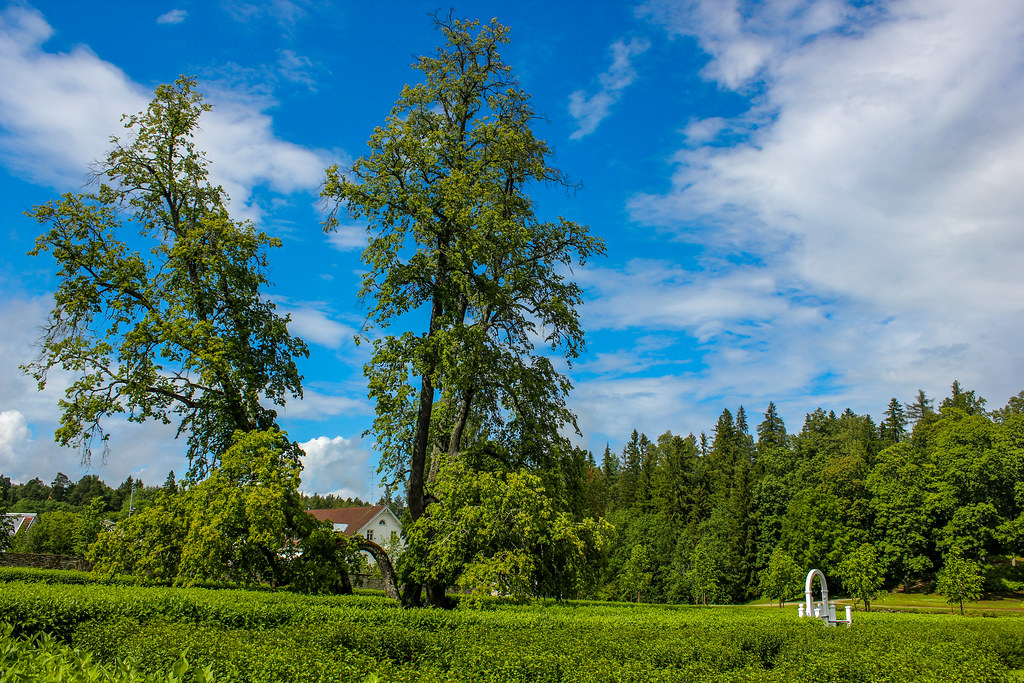 Paisaje del jardín trasero de la casa solariega de Palmse en Estonia con árboles verdes y cielo azul con nubes.