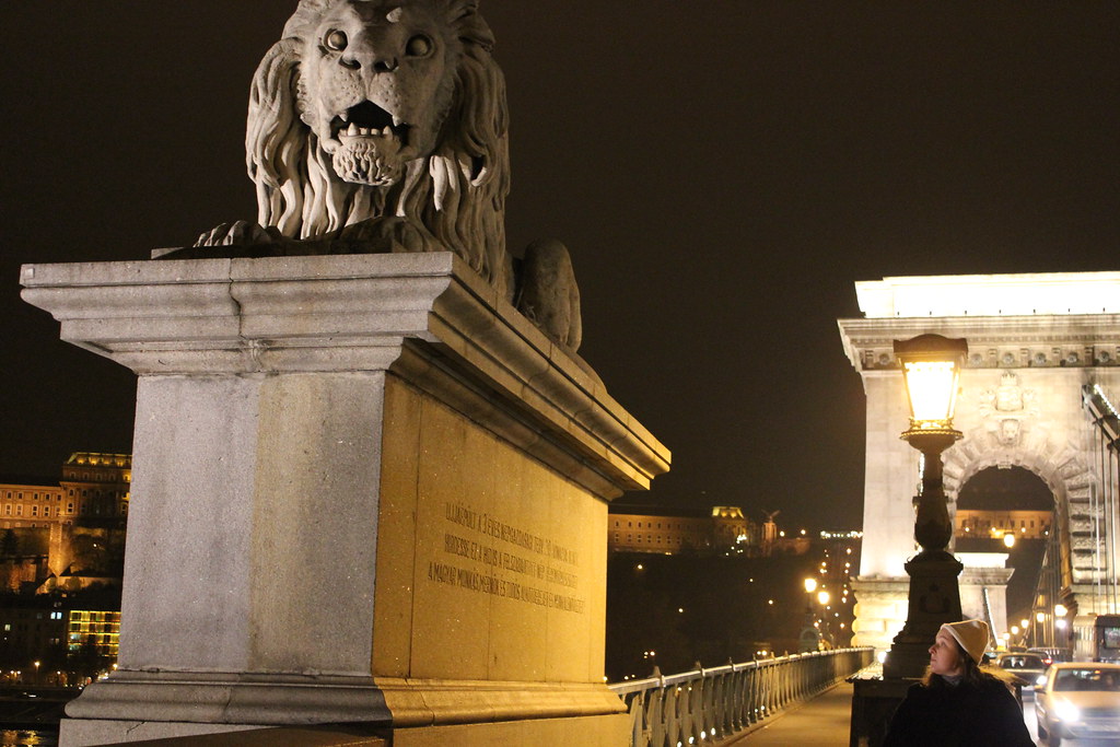 León de piedra en el Puente de las Cadenas de Budapest de noche con farolas iluminadas.