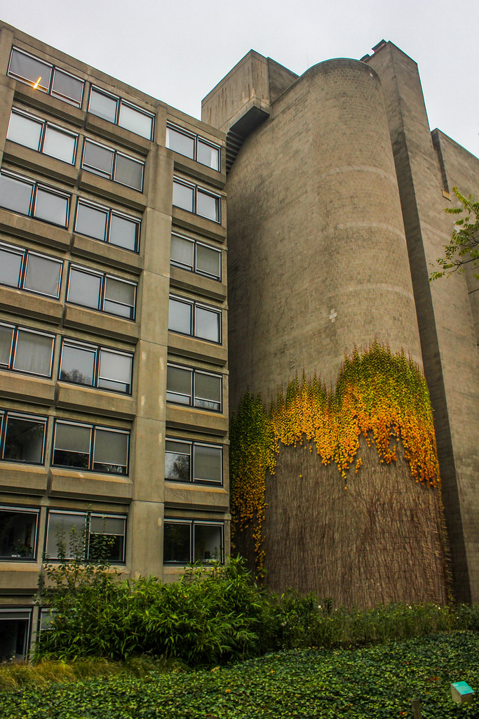 Edificio Letteren de la Facultad de Letras de la Universidad de Lovaina con vegetación otoñal.