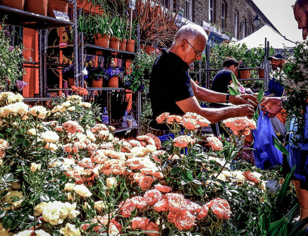 Junio en el mercado de flores de Columbia Road en Londres, Reino Unido.