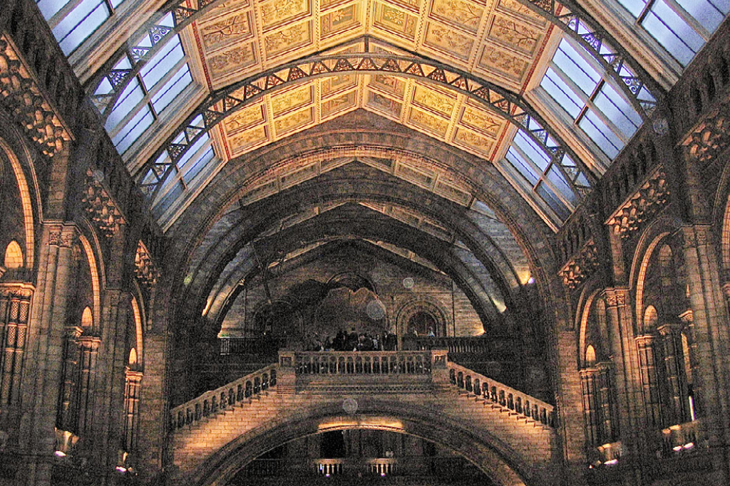 Sala principal del Natural History Museum.