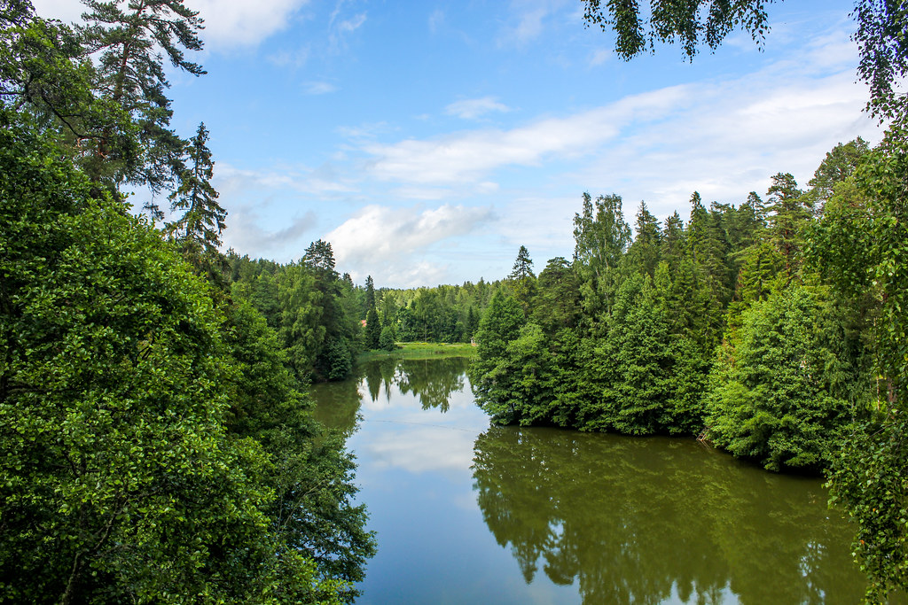 Paisaje tranquilo del lago rodeado de bosques en el parque de la mansión de Palmse, Estonia.