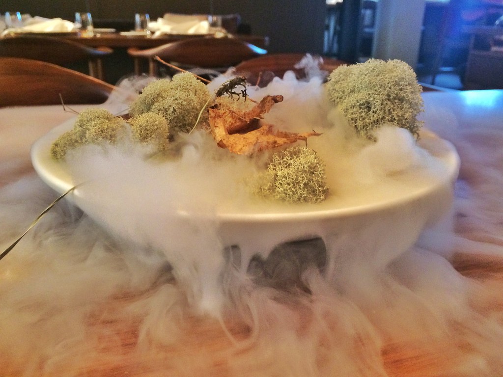 Plato creativo con humo seco y musgo servido en el Restoran Ö.