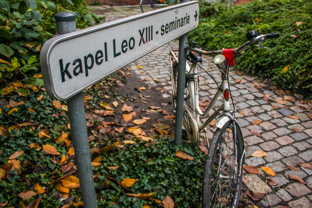 Señal de dirección a 'kapel Leo XIII seminario' junto a una bicicleta aparcada sobre adoquines cubiertos de hojas otoñales.