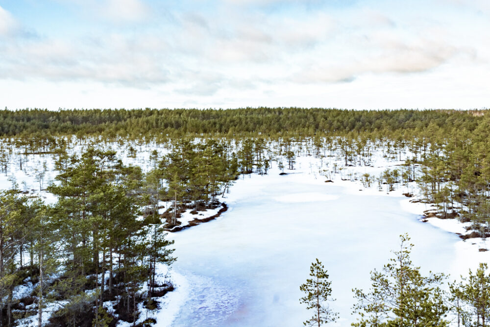 Turbera de Viru congelada, Estonia.