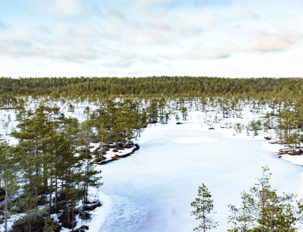 Turbera de Viru congelada, Estonia.